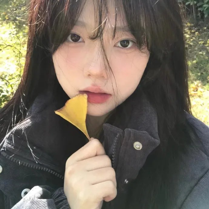 花落莺啼春 海报