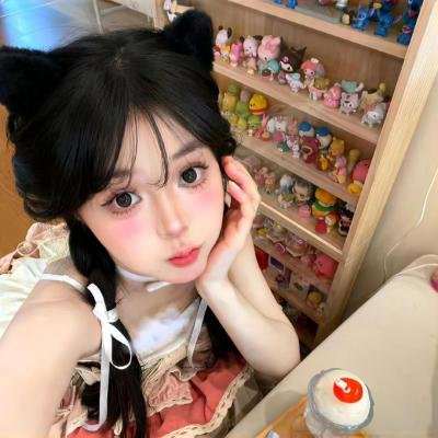 凤凰城故事 海报
